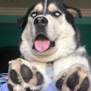 Meet your Posher, Shaunna